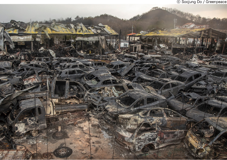 2019年4月に韓国・江原道東部で発生した森林火災の被害。専門家は、乾燥した空気と強風で急速に大規模な火災に発展したとみている。