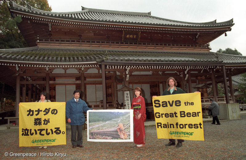 カナダの温帯雨林で伐採された木材製品、70以上の日本企業が取引中止を発表