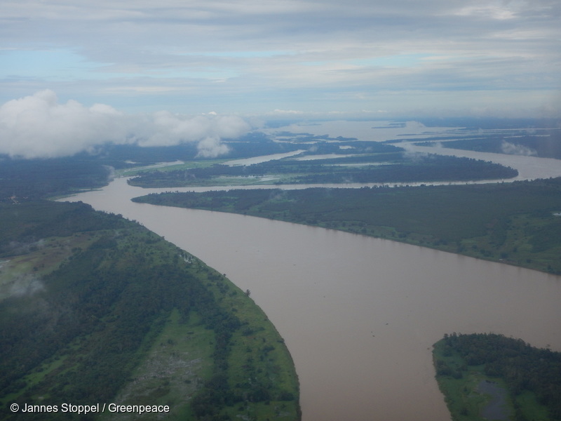 アマゾンの森の巨大ダムが建設中止に