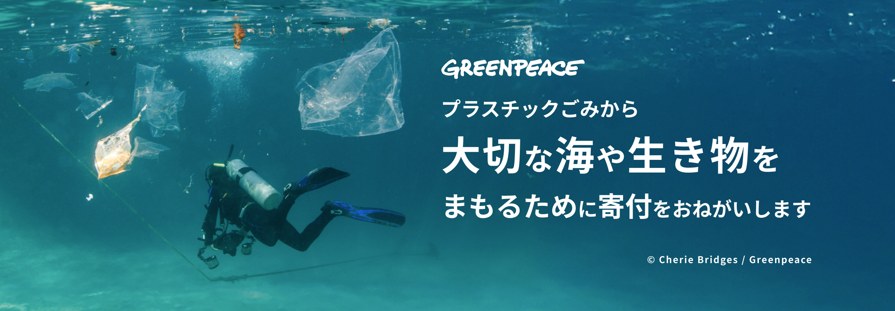 GREENPEACE ビーチクリーンだけでは限界がある…プラスチックごみから大切な海を守るために少しだけ力を貸してください