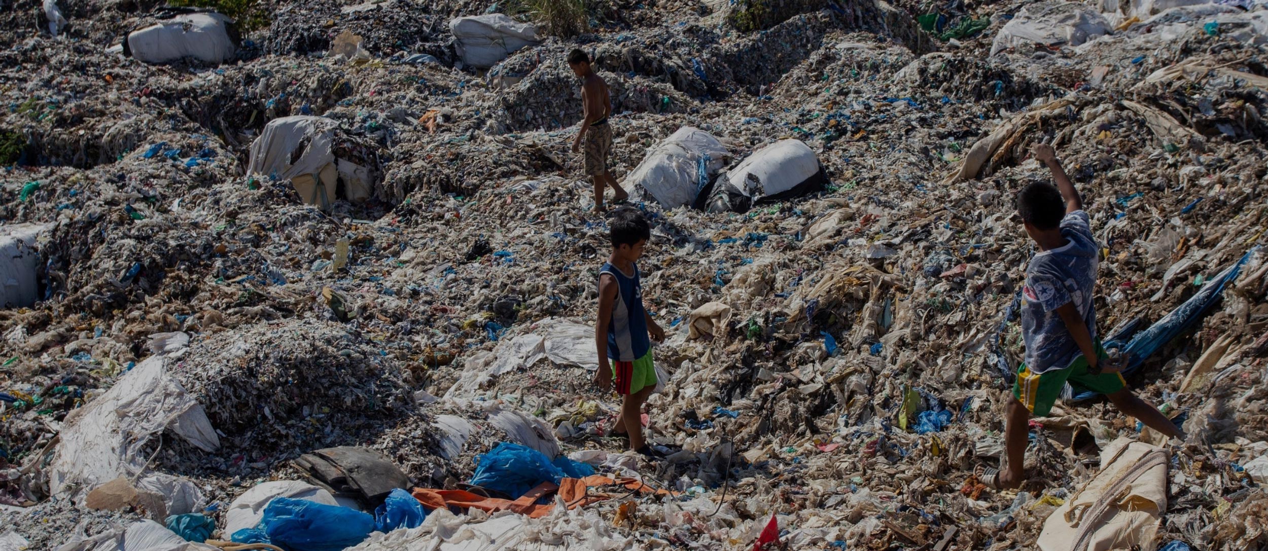 一人ひとりの努力だけでは、プラスチック汚染を止められないから。